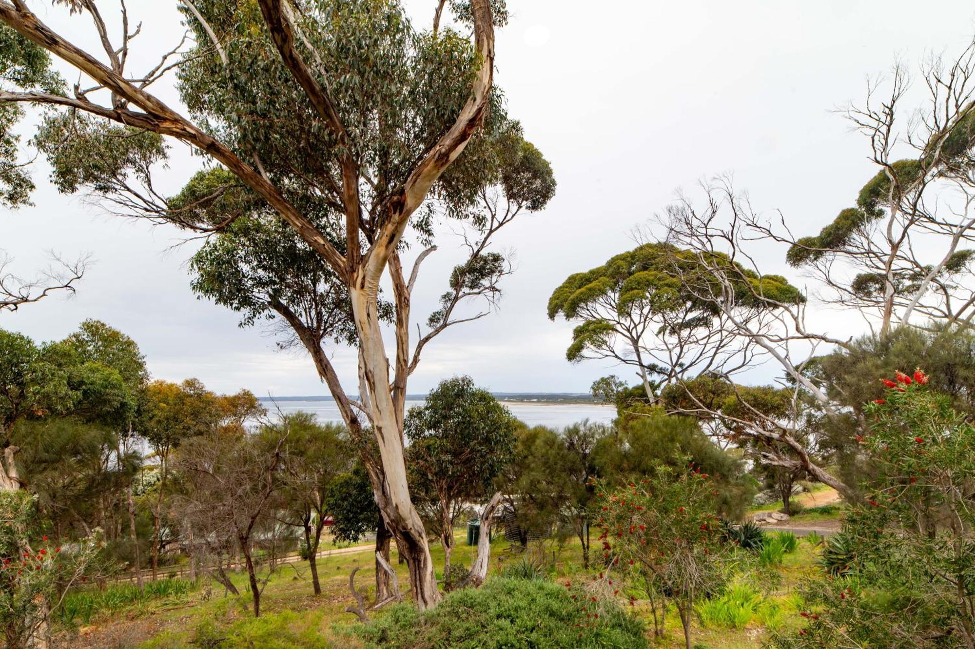 The River Suites, Kangaroo Island American River Zewnętrze zdjęcie